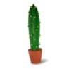 Jouet chien latex cactus en pot 22,5cm