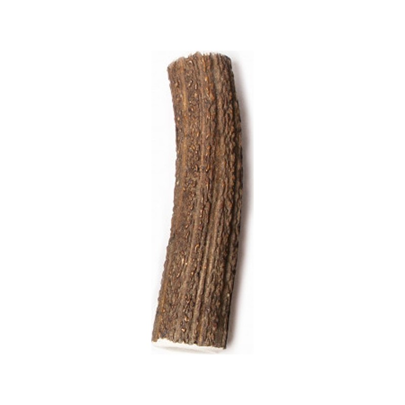 Bois de Cerf Entier Taille XL - Friandises et hygiène dentaire chiens