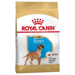 Boxer Puppy - 12Kg* - Royal...