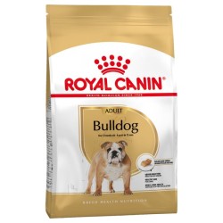 Bulldog Anglais - 12Kg* -...