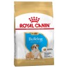 Bulldog Anglais Puppy - 12Kg* - Royal Canin - Croquettes pour chiots