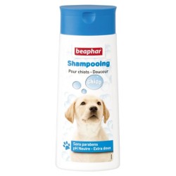 Shampooing Essentiel pour...