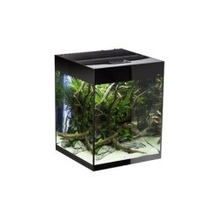 AQUARIUM SET GLOSSY CUBE D&N NOIR