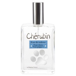 Parfum Cherubin Chiots 50Ml