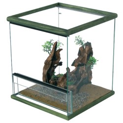 TERRARIUM "GIUNGLA 1"...