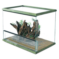 TERRARIUM "GIUNGLA 2"...