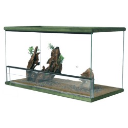 TERRARIUM "GIUNGLA 3"...