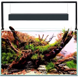 AQUARIUM ULTRA SCAPE 60 BOIS