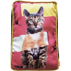 Coussin Rectangulaire it...