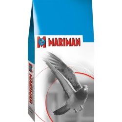 Mariman pigeon elevage...