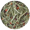 Foin Nature Timothy Hay 1kg