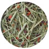 Foin Nature Timothy Hay 0,5kg- Betterave rouge et tomates