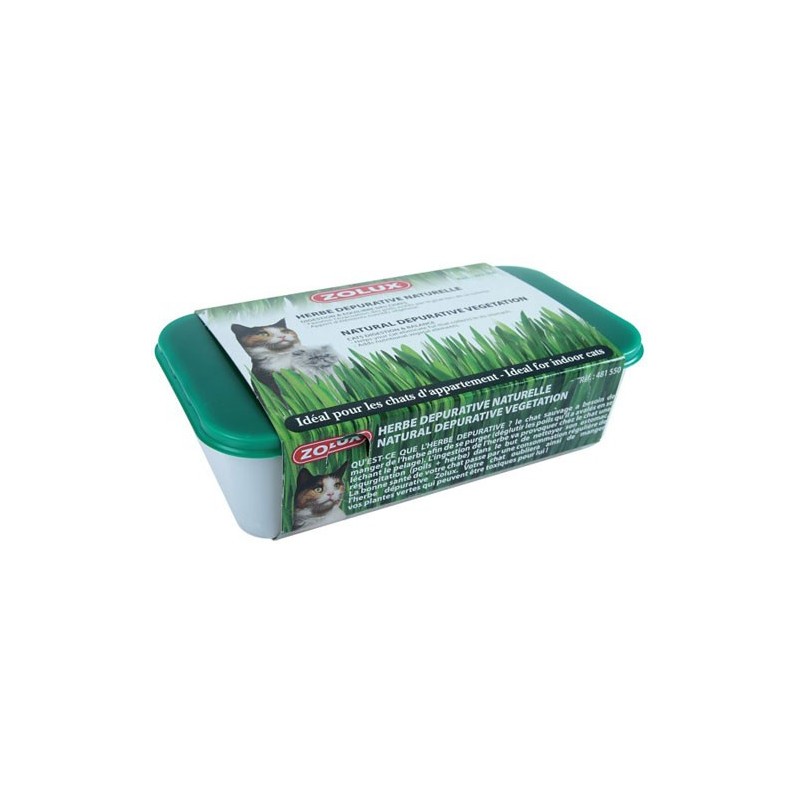 Herbe A Chat 250Gr