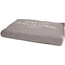 Sweater - Box Pillow - I'm...