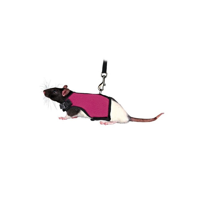 HARNAIS + LAISSE RATS 12-18cm 120cm