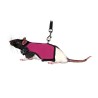 HARNAIS + LAISSE RATS 12-18cm 120cm