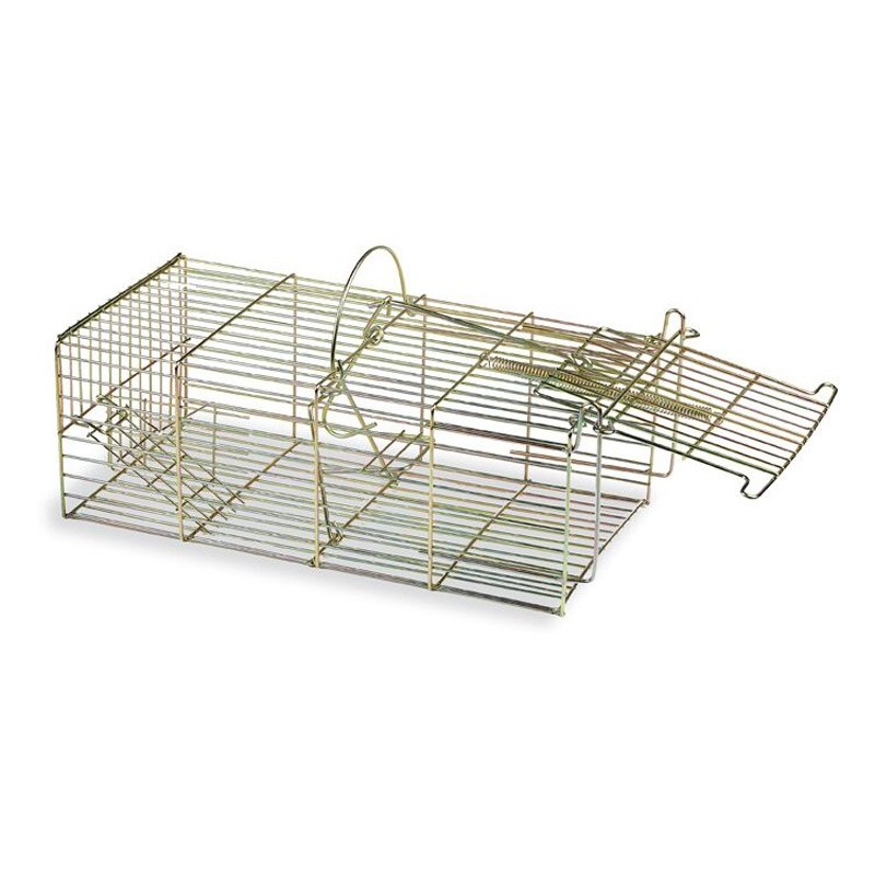 CAGE PIEGE RAT SOURIS MULTI CAPTURE