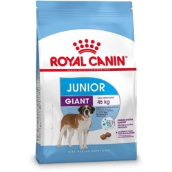 Junior Giant - 15Kg - Royal...