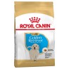 Golden Puppy - 12Kg* - Royal Canin - Croquettes pour chiots 