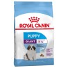 Puppy Giant - 15Kg* - Royal Canin - Croquettes  pour chiots de grandes races