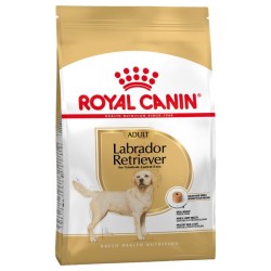 Labrador - 12Kg* - Royal...