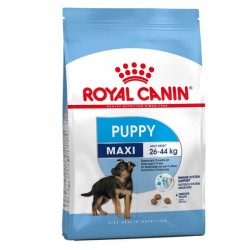 Chiots Maxi - 15Kg - Royal...