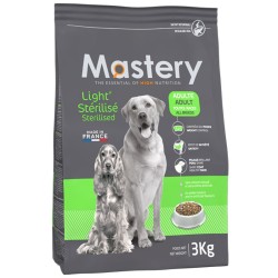 Mastery Chien...