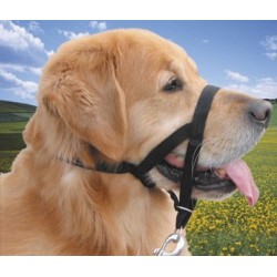 Museliere Lacet T1 pour chiens