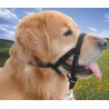 Museliere Lacet T2 pour chiens