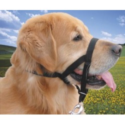 Museliere Lacet T3 pour chiens