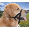 Museliere Lacet T4 pour chiens