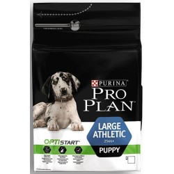 Large Athletic Puppy 12Kg -...