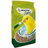 Coussin Canaris 4 Kg